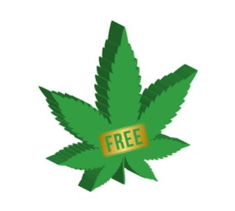 Cannabis 101 Participants - Click here for your Free Products!