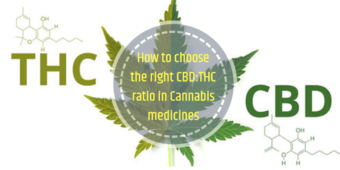 Blended Ratio (e.g., CBD:CBG, CBD:CBN)