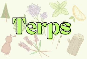 Terpenes