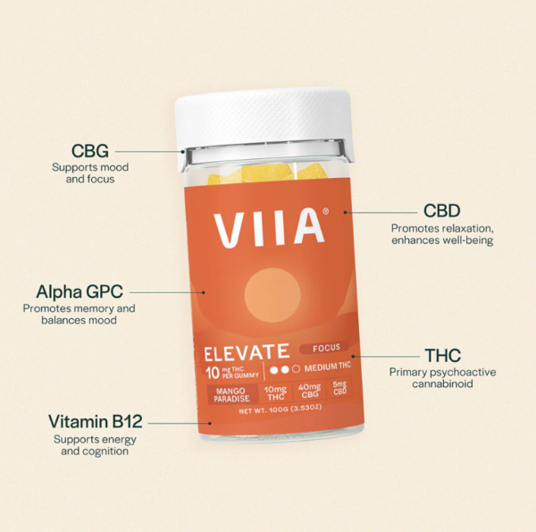 viia elevate focus d9+cbg gummies mango paradise 10mg