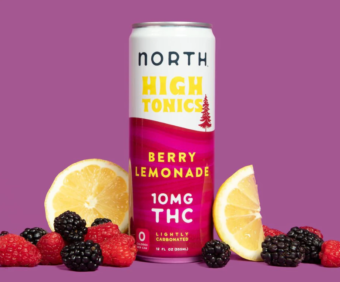 north canna co. high tonic berry lemonade 10mg single can