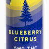 north canna co. higher vibes blackberry mango 15mg single can (copy)
