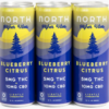 north canna co. higher vibes blackberry mango 15mg single can (copy)