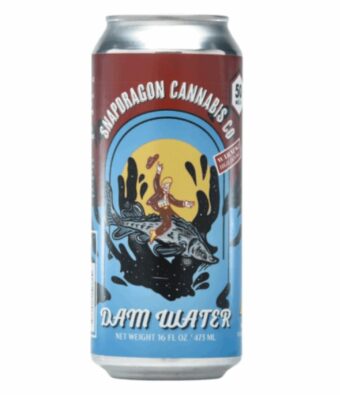 snapdragon cannabis co. dam water thc+caffeine dam 25mg single