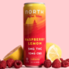 north canna co. higher vibes blackberry mango 15mg single can