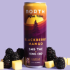 north canna co. higher vibes blackberry mango 15mg single can