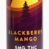 north canna co. higher vibes blackberry mango 15mg single can