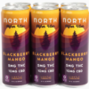 north canna co. higher vibes blackberry mango 15mg single can