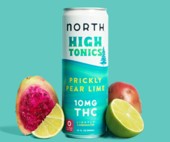 north canna co. high tonic blood orange mango 10mg single can (copy)