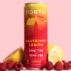 north canna co. higher vibes pineapple orange 15mg single can (copy)