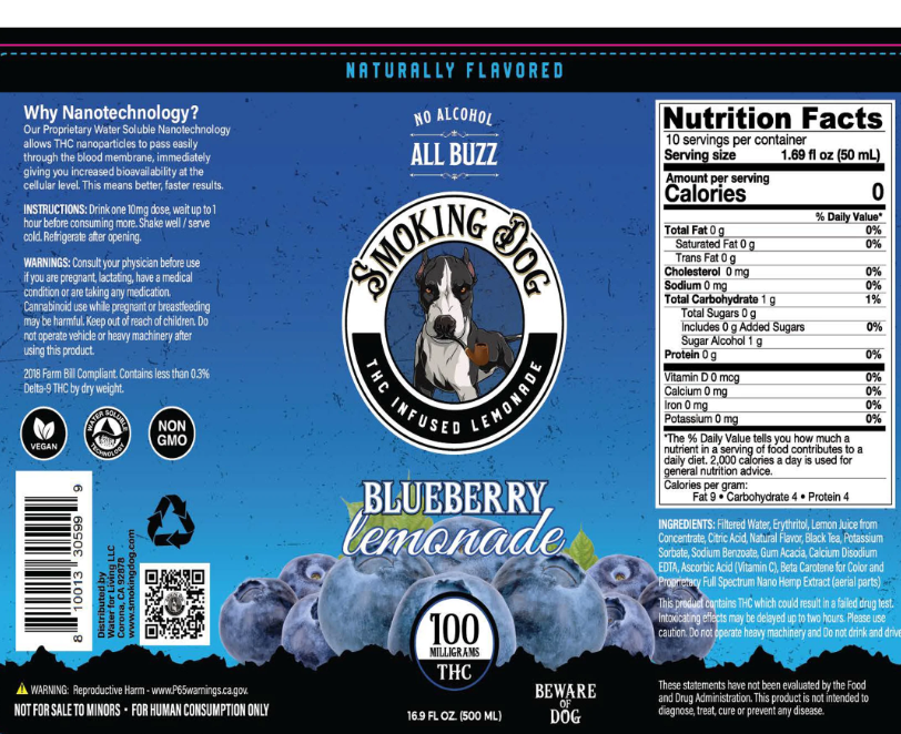 smoking dog blueberry lemonade thc 100mg single