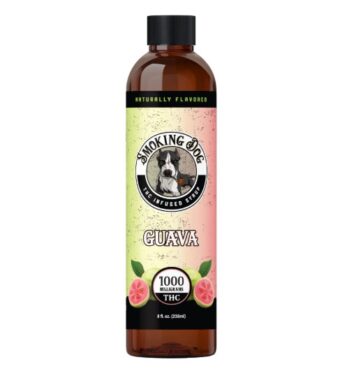 smoking dog thc syrup guava 1000mg