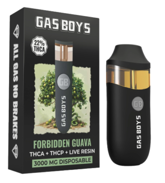 gas boys live resin thca+thcp+cbd dispo forbidden guava 3000mg