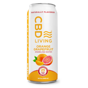 melting forest d stress drink mango guava single can (copy)