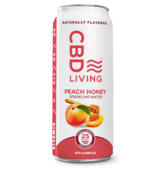 melting forest d stress drink mango guava single can (copy)