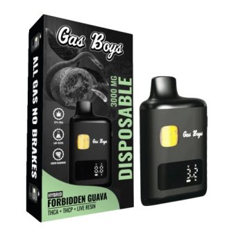 gas boys forbidden guava thca+thcp+cbd dispo 3000mg