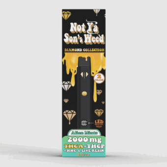 not ya son's weed jungle cake thca+thcp+hhc vape 2g (copy)
