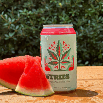 little trees thc sparkling water lime 10mg (copy)