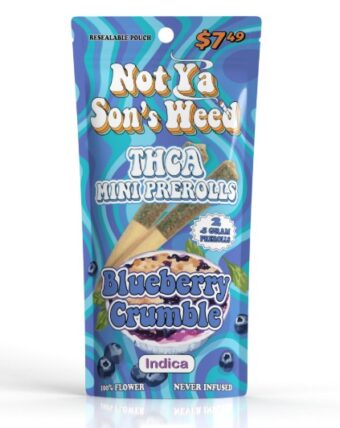 not ya son's weed ice cream cake thca mini pre roll 2 pack (copy)