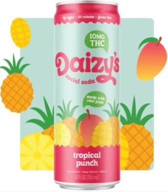 daizy's strawberry lemonade social soda thc 10mg (copy)