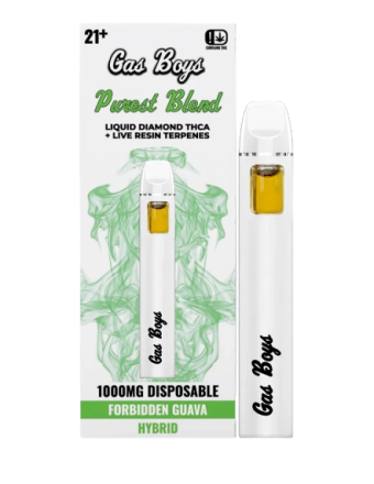 gas boys forbidden guava thca dispo 1g