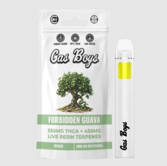 gas boys alaskan thunder f⚡︎⚡︎k thca dispo 1g (copy)