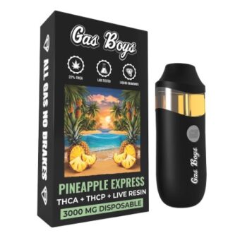 gas boys pineapple express thca+thcp dispo 1g
