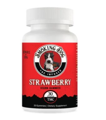 smoking dog mango thc gummies 30mg (copy)
