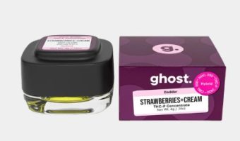 pinnacle hemp sunshine daydream plain jane thca live badder 1g (copy)