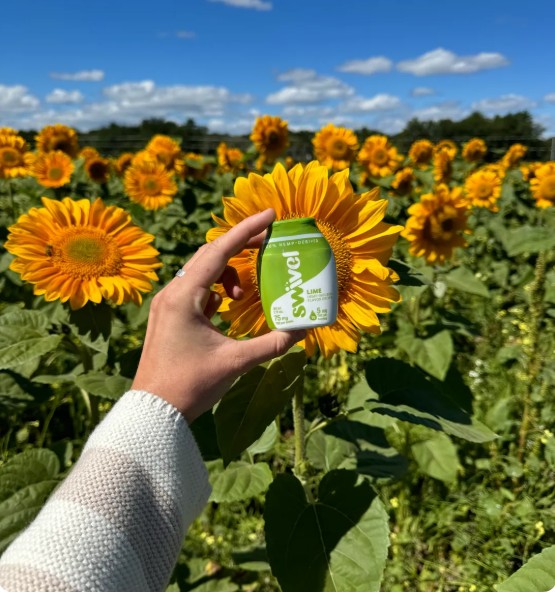 swivel lime beverage enhancer thc 5mg