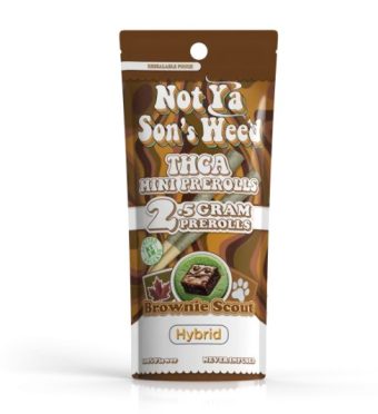 not ya son's weed brownie scout mini pre roll thca 1g 2 pack