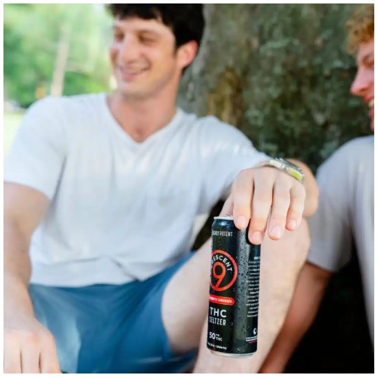 crescent canna raspberry lime seltzer thc 50mg single (copy)