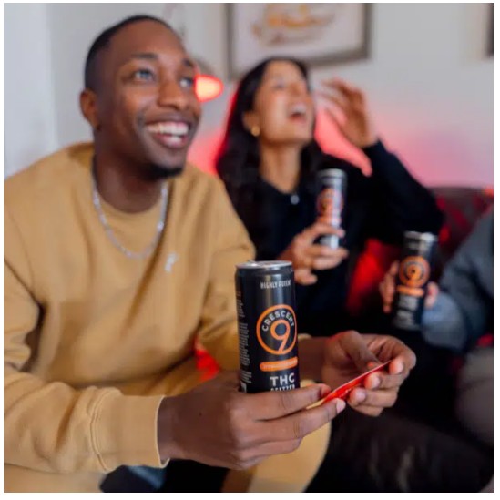 crescent canna raspberry lime seltzer thc 50mg single (copy)